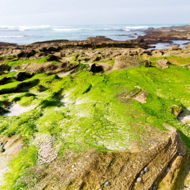  Güney Afrika gökyüzü okyanus yedek olarak