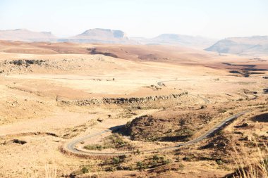   Güney Afrika'da kara çalı ve ağaç 