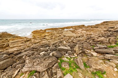  Güney Afrika gökyüzü okyanus doğa rezerv 