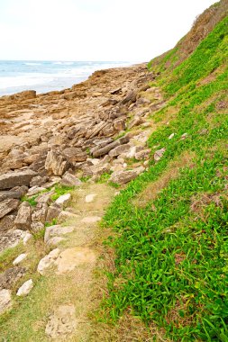   Güney Afrika gökyüzü okyanusta doğa rezerv  