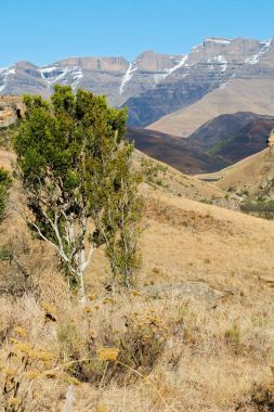   Güney Afrika ıssızlık vadisinde 