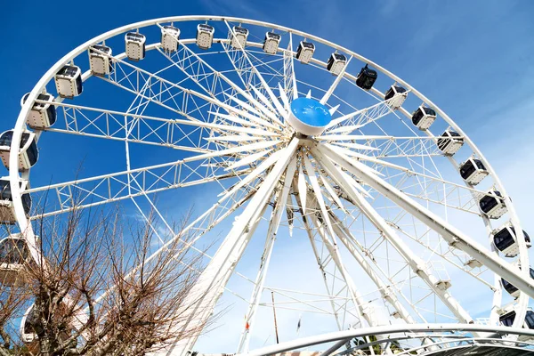 Güney Afrika'da bulanıklık ferris Nunik yakın çekim — Stok fotoğraf