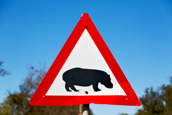 In Zuid-Afrika close-up van het nijlpaard-teken — Stockfoto
