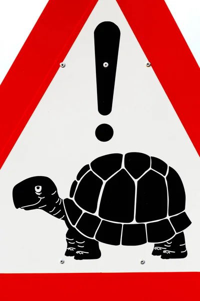 In Sudafrica primo piano del cartello della tartaruga — Foto Stock