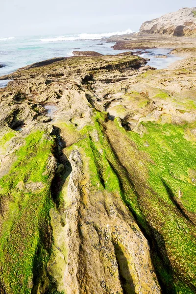 V Jižní Africe sky oceánu rezervaci — Stock fotografie