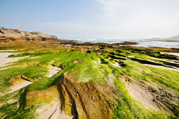 Na África do Sul céu oceano reserva — Fotografia de Stock