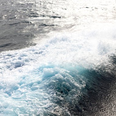 Pasifik Okyanusu arka plan bulanıklık 