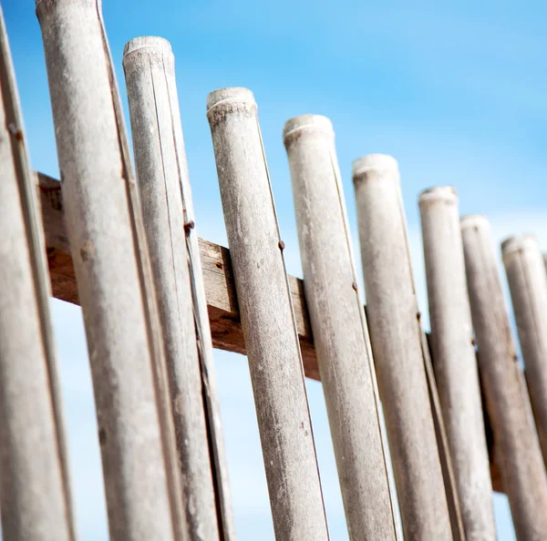 Bir bulutlu gökyüzü çok bambu stick doğal çit için — Stok fotoğraf
