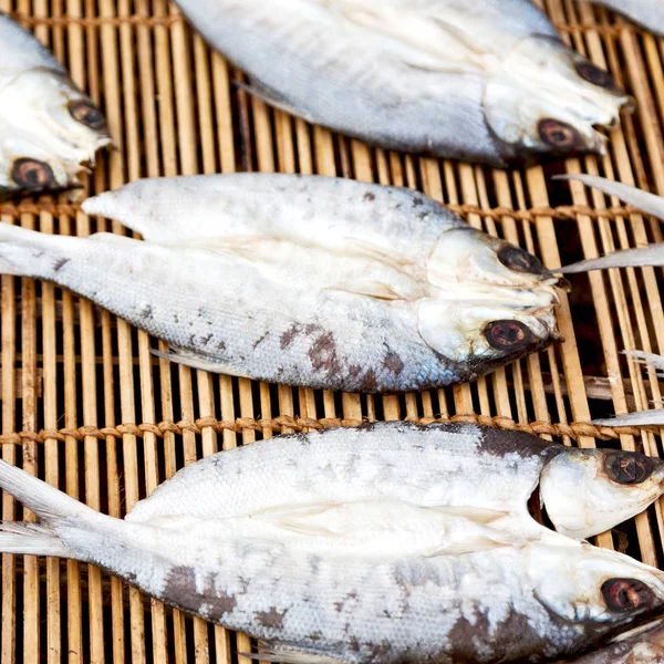 Veel vis gezouten en drogen van de voorbereiding op de markt — Stockfoto