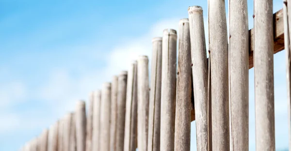 En un cielo nublado lotes palo de bambú para valla natural —  Fotos de Stock
