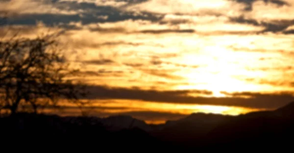 En Sudáfrica amanecer cerca de rama —  Fotos de Stock