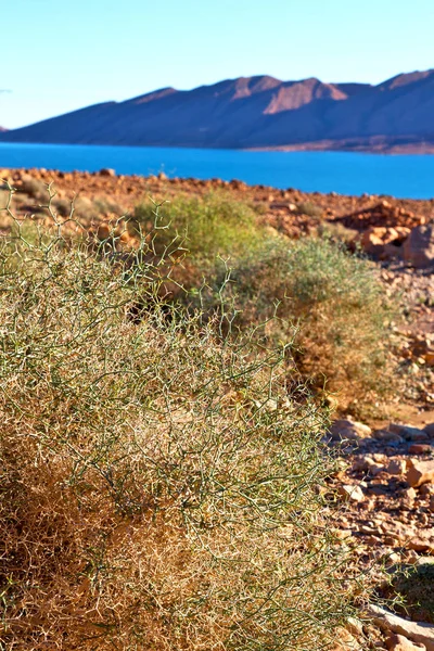 Lac dans la vallée marocaine afrique l'atlas montagne sèche utili — Photo