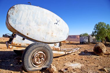 su tankının içinde Fas Afrika ağacı
