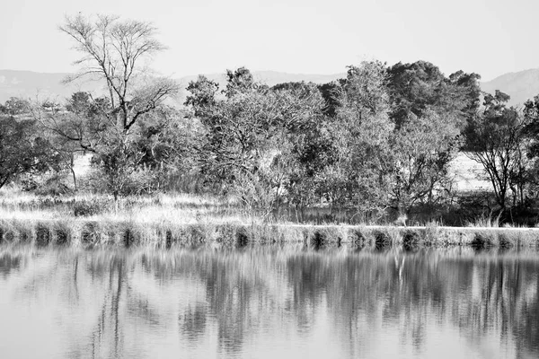 The pound lake and   tree reflection in water — Stock Photo, Image