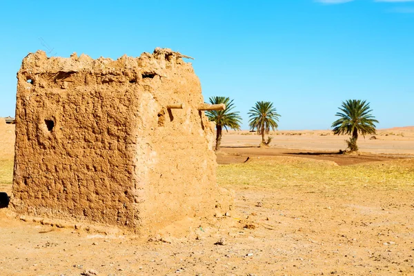 Sahara africa in marokko palme die alte konstruktion und seine — Stockfoto