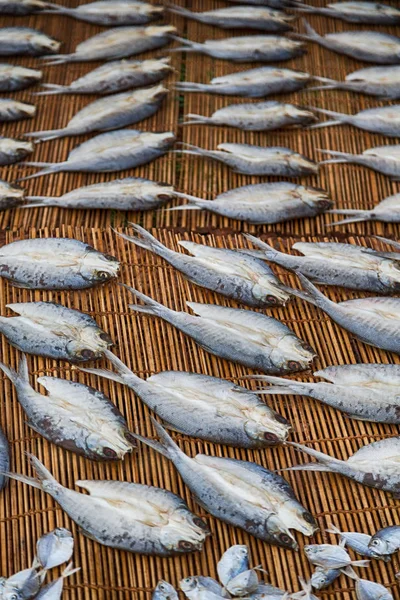 Veel vis gezouten en drogen van de voorbereiding op de markt — Stockfoto