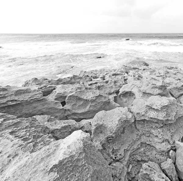 In south africa   sky ocean  nature    reserve — Stock Photo, Image