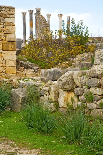 Volubilis en afrique marocaine l'ancien monument romain détérioré — Photo