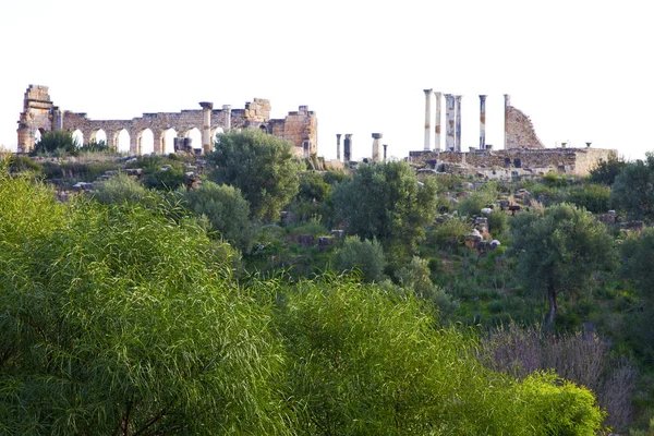 Volubilis en afrique marocaine l'ancien monument romain détérioré — Photo