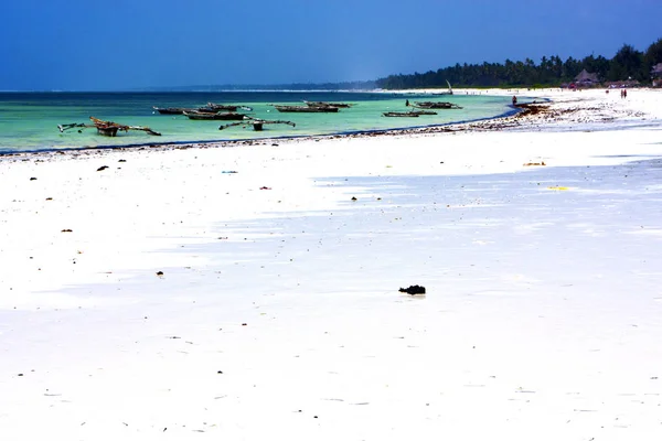 Zanzibar beach řas Indové — Stock fotografie