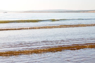 Fas Afrika okyanus dalga deniz ve kuş soyut
