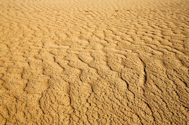 Afrika kahverengi dune Sahra t satır