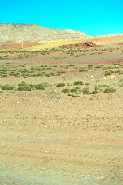 Marrom arbusto vale morocco áfrica o atlas seco mounta — Fotografia de Stock