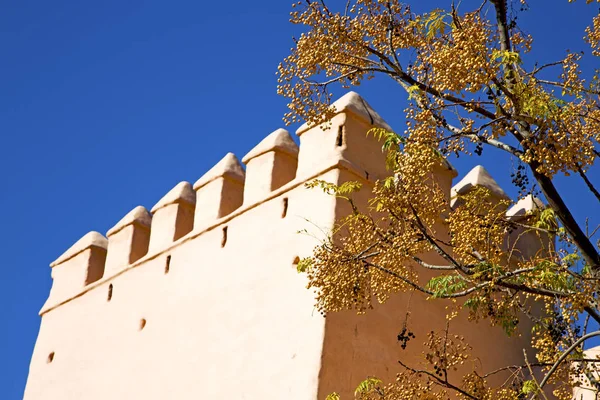 Marrón vieja ruina en la construcción africa flor —  Fotos de Stock