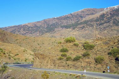 içinde zemin Afrika Fas bush kuru atlas dağ
