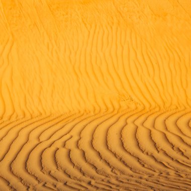 Umman eski çöl ve boş çeyrek soyut doku l