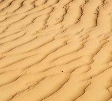 Umman eski çöl ve boş çeyrek soyut doku l