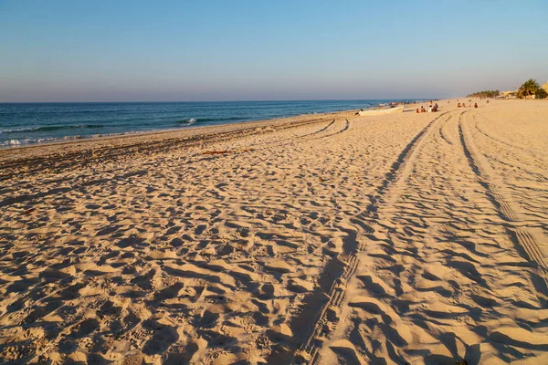 Måge Nær Havet Oman Båd Kystlinjen - Stock-foto