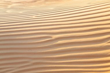 Umman eski çöl ve boş çeyrek soyut doku l