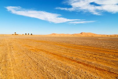 dağ eski fosil morocco sahara ve kaya s çölde