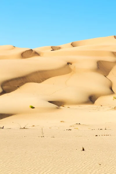 In oman vecchio deserto strofinare al khali il quartiere vuoto e all'aperto — Foto Stock