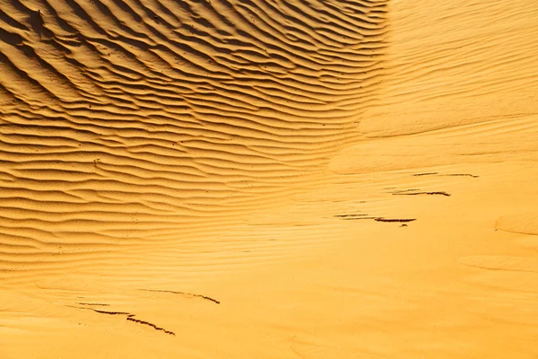 In oman abstract de oude woestijn en de lege wijk texture l — Stockfoto
