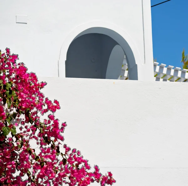 Цветы в архитектуре Europe Cyclades santorini old town — стоковое фото