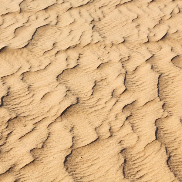 Umman eski çöl ve boş çeyrek soyut doku l