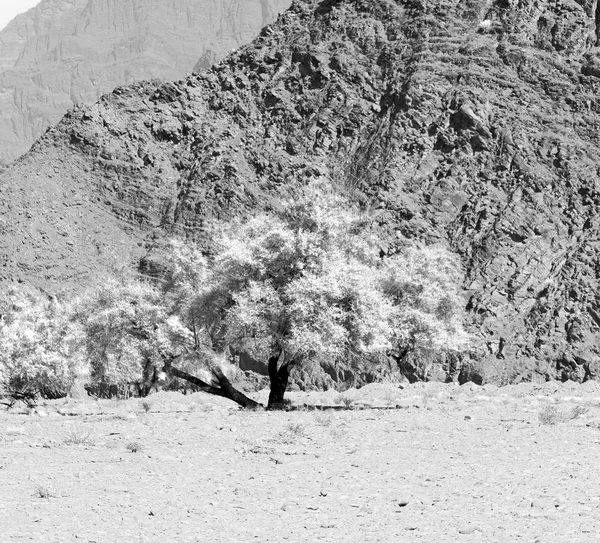 Umman eski dağ gorge ve kanyon derin bulutlu gökyüzü 