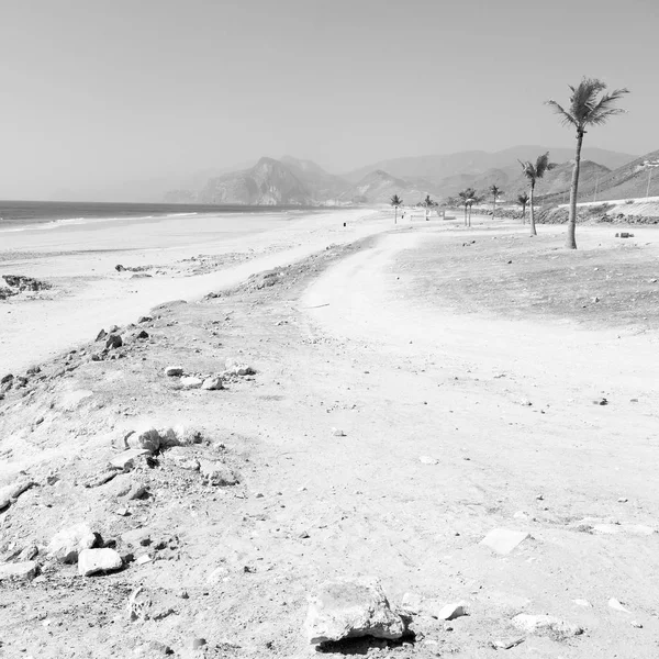 Nära Sandstrand Sky Palm Och Berg Oman Arabiska Havet Kullen — Stockfoto