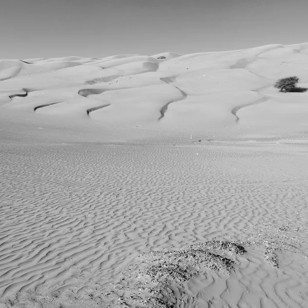 Em oman velho deserto esfregar al khali o quarto vazio e ao ar livre — Fotografia de Stock