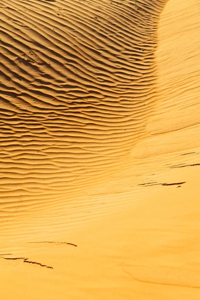 In oman the old desert and the empty quarter abstract  texture l Stock Image