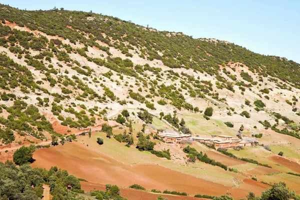 Dades valley atlas marocco afrika — Stockfoto