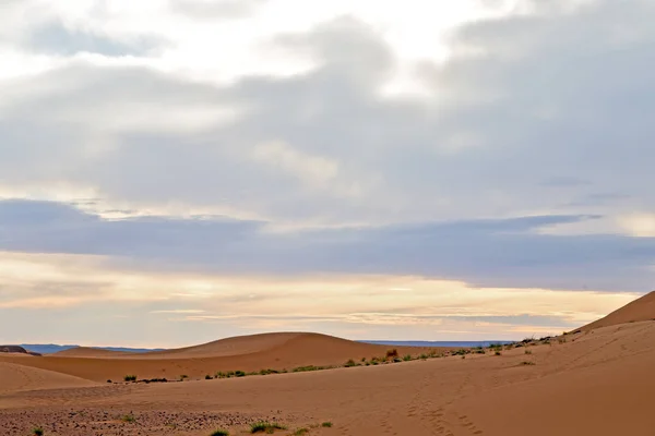 Soleil Dans Désert Sable Marocain Dune — Photo