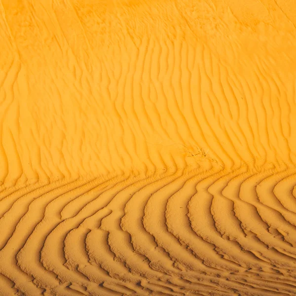 In oman the old desert and the empty quarter abstract  texture l Royalty Free Stock Photos
