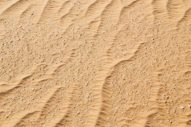 Umman eski çöl ve boş çeyrek soyut doku l