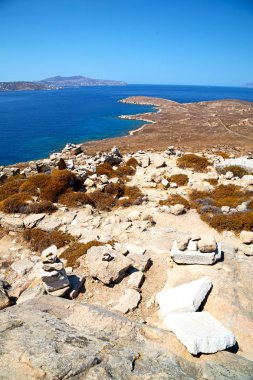 bitki delos Yunanistan historycal Akropolis ve yobaz oturmak