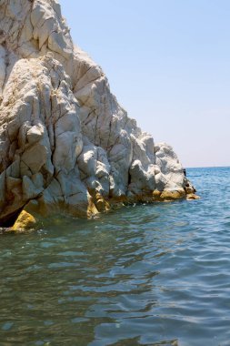 Deniz ve kuru bush yalnız  