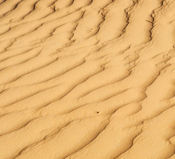 En oman el desierto viejo y el cuarto vacío textura abstracta l —  Fotos de Stock