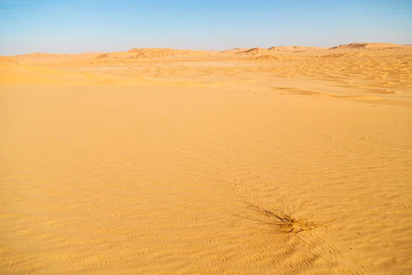 En oman viejo desierto frotar al khali el cuarto vacío y al aire libre —  Fotos de Stock